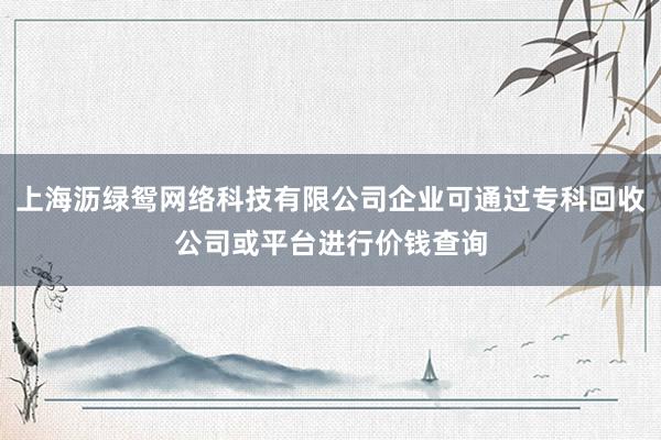 上海沥绿鸳网络科技有限公司企业可通过专科回收公司或平台进行价钱查询